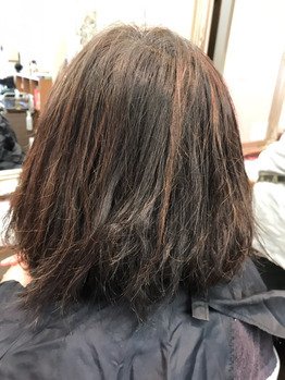 美髪再生プログラム_20190118_3